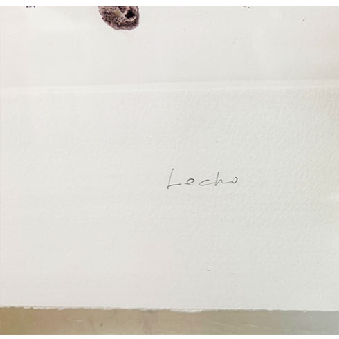 Comprar obra gráfica titulada a mano por Rafael Canogar, Grabado al Aguafuerte Lecho a la venta